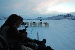 Dog-Sledding-in-the-Artic-scaled